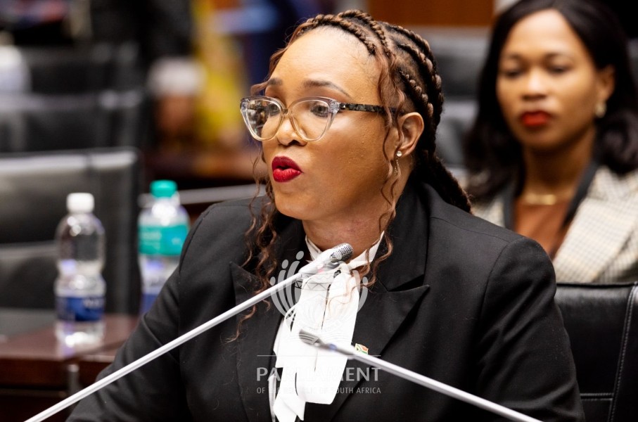 Ad Hoc Committee on Mkhwanazi: Lt Gen Hilda Senthumule, acting Dep Nat Commissioner for Crime Detection & Div Commissioner for Detective & Forensic Services is our witness today. Photo by Zwelethemba Kostile/Parliamentof RSA