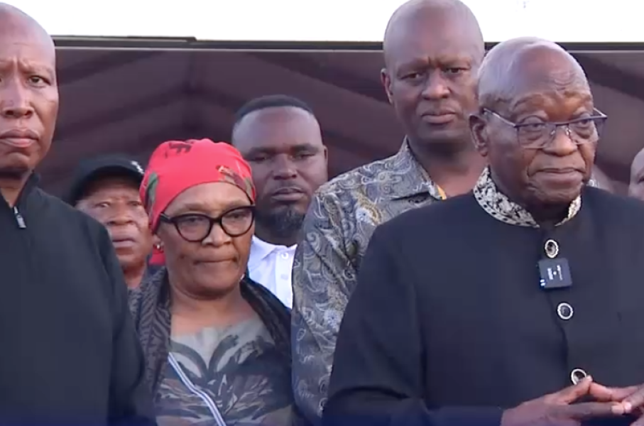 Julius Malema and Jacob Zuma