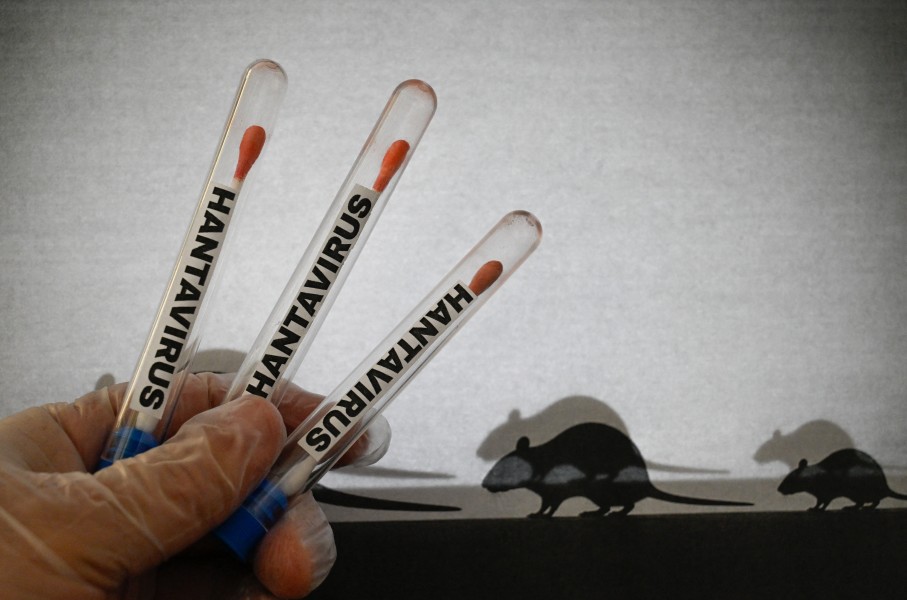 Hantavirus 3