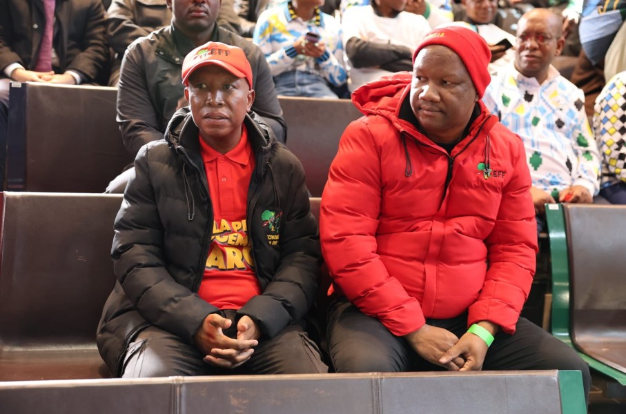 Julius Malema and Marshall Dlamini during the delivery of the judgment on Phala Phala at the Constitutional Court. Gallo Images/Luba Lesolle
