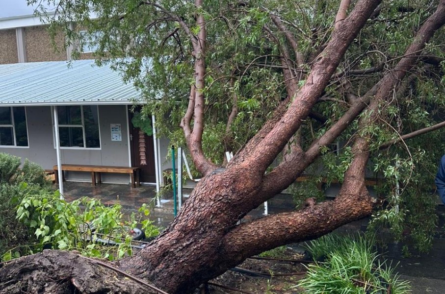 Beaumont Primary School which was damaged