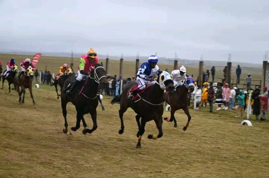 Ngcizela Horse Racing
