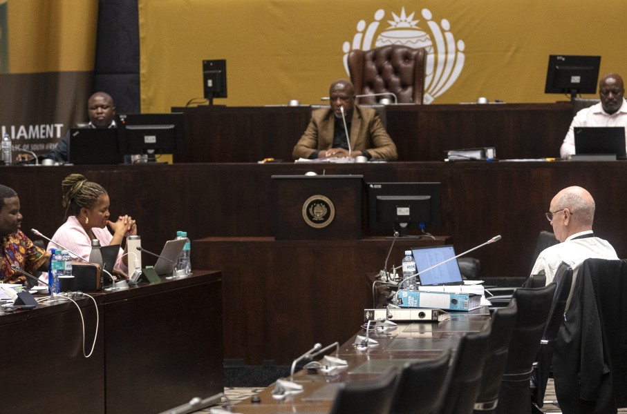 MPs seen at the SAPS Parliamentary Ad Hoc Committee inquiry. Gallo Images/Brenton Geach
