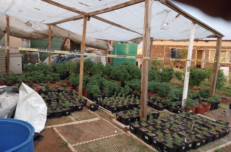 Gauteng police have pounced on a hydroponic dagga-laboratory in De Deur. Supplied