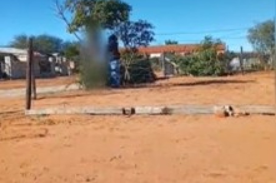A Western Cape man pleaded guilty to animal cruelty after a video surfaced of him tying his dog, Lion, to a tree and hanging him.