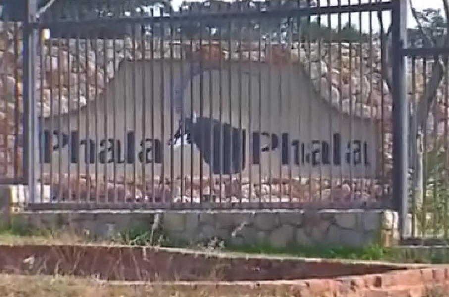 President Cyril Ramaphosa's farm Phala Phala.
