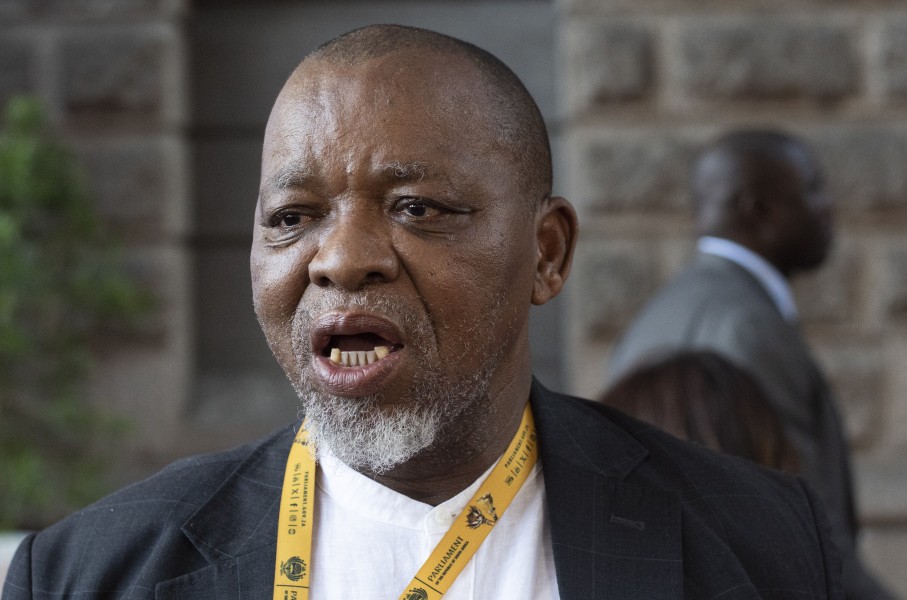  Minister of Mineral and Petroleum Resources Gwede Mantashe. Photo by Brenton Geach/Gallo Images via Getty Images