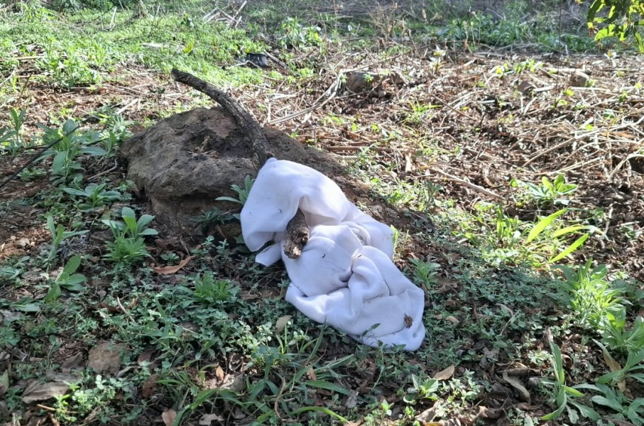  Police are combing an active crime scene in Atteridgeville, searching for a suspect accused of kidnapping a child reportedly raping the mother.