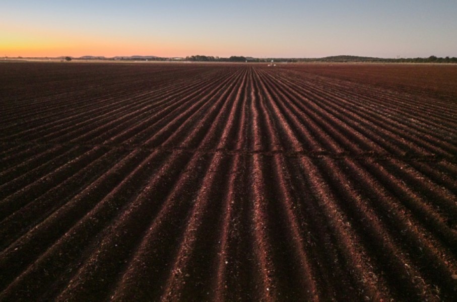 Zimbabwe launched land reforms in 2000, seizing land from white commercial farmers