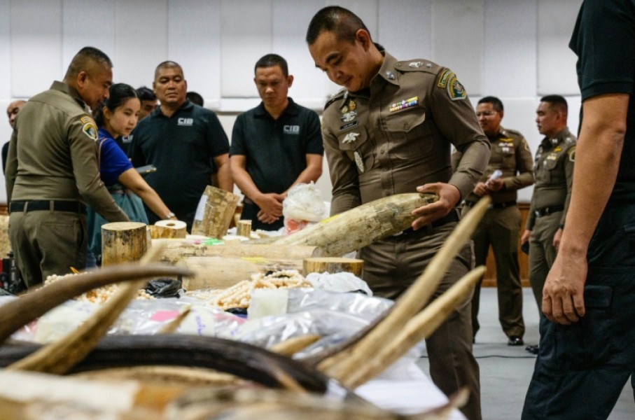 The ivory haul included cut pieces and fragments, as well as prayer beads, jewellery and knife handles, police say