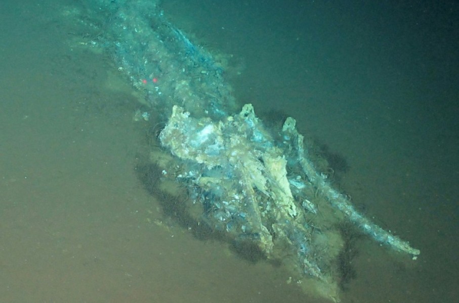 Scientists said discovering a necropolis of this scale was completely unexpected