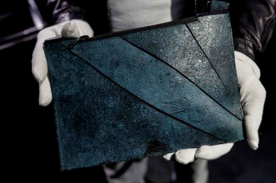 The first-ever leather bag made from Tyrannosaurus rex cells failed to sell in Paris
