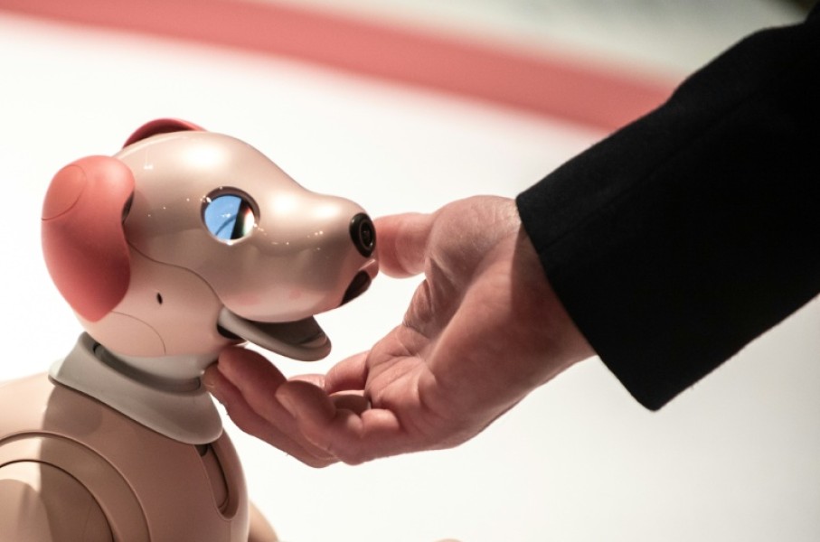 Aibo dogs can perform tricks like waving and mimicking its owner