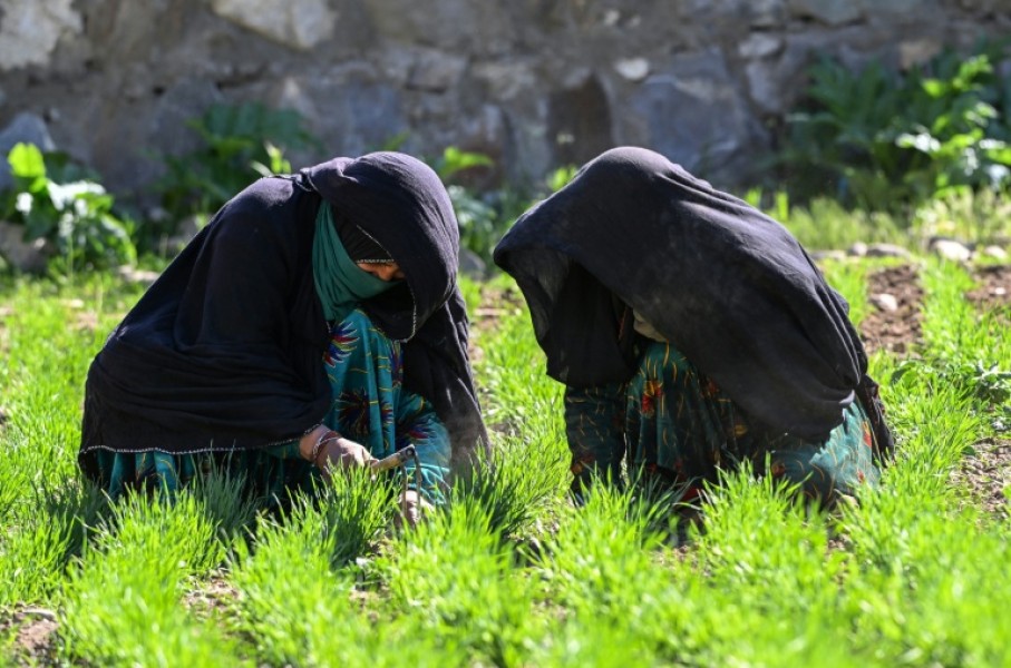 In northeastern Afghanistan women farmers are playing a vital role in the survival of their communities