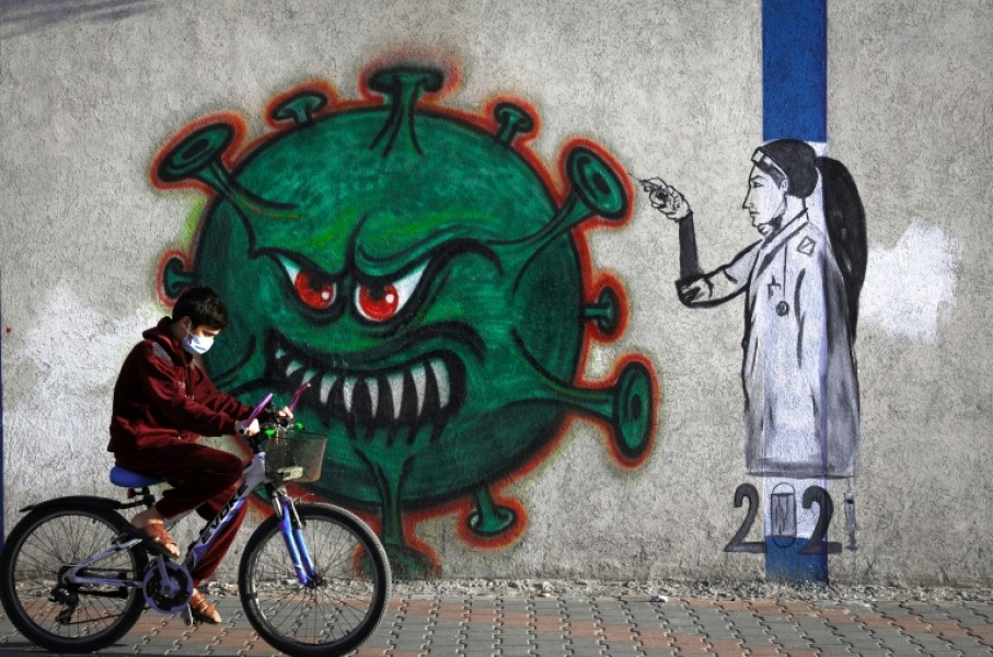 How will your country fare during the next pandemic? Its level of inequality is the best predictor, research has shown