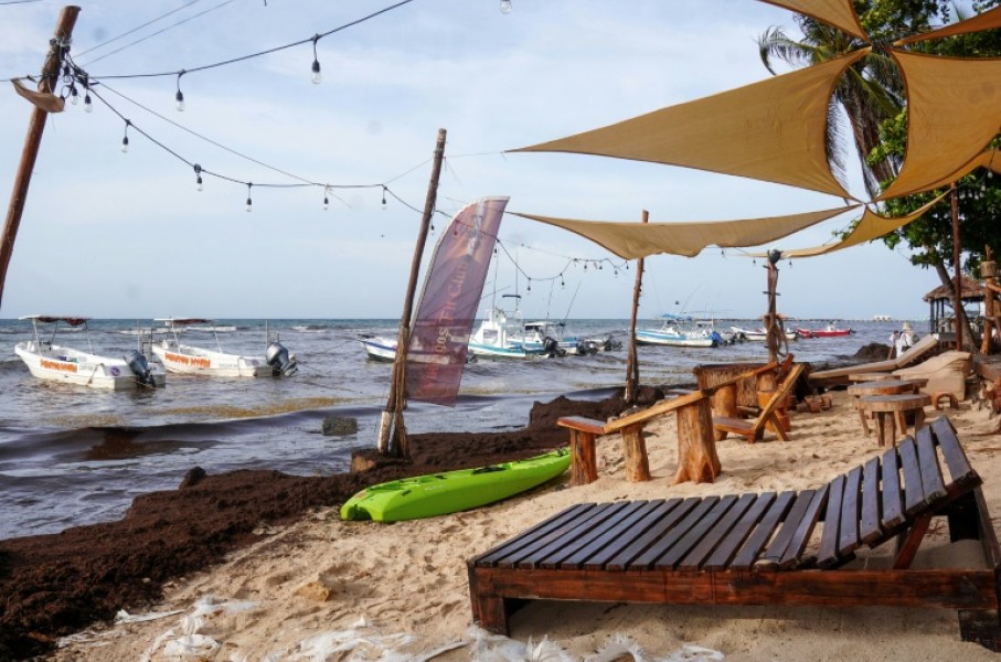 Sargassum covers the beach in Playa del Carmen on June 18, 2025