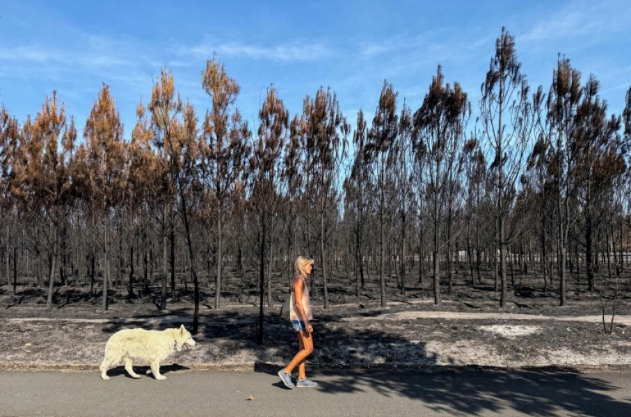 The Arcachon fire incinerated some 42,000 hectares (104,000 acres) of pine forest along the Atlantic coastline, destroying some 240 homes in its wake