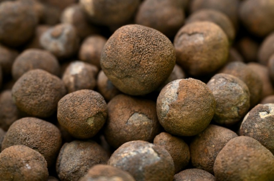 Parts of the Pacific Ocean are carpeted in polymetallic nodules, which contain coveted metals such as nickel and cobalt.