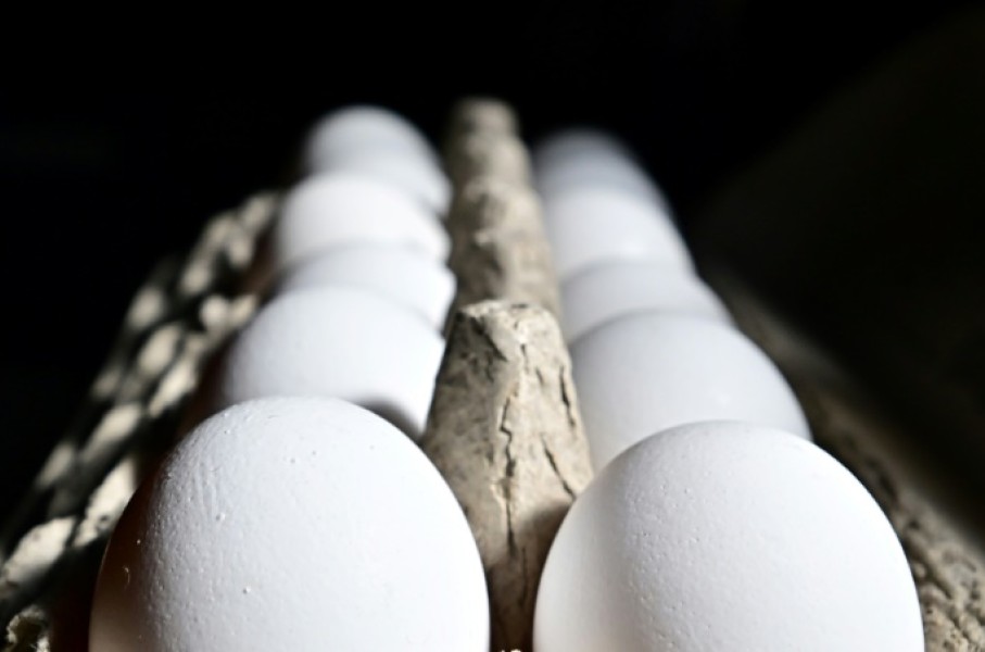 Cracked it: Egg prices became a rallying point for Donald Trump in 2024's presidential election campaign