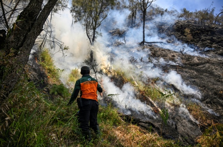A wildfire has razed 176 hectares in Indonesia's Bromo Tengger Semeru National Park, which lies near Mount Bromo in East Java