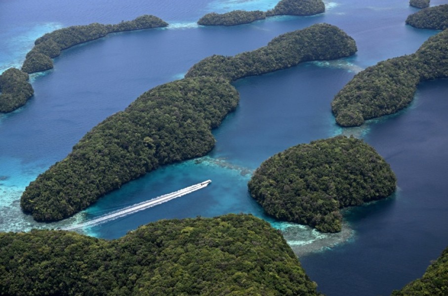 UNESCO describes Palau's marine lakes as "natural laboratories" for science, yielding new species in a zone abundant with large coral.