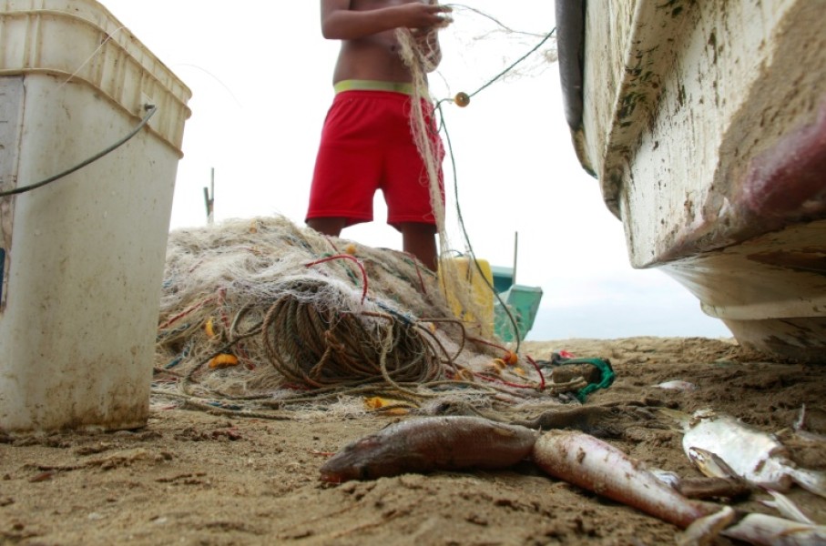Ecuadoran fishermen are used to netting big tuna like albacore and bonito but as El Nino turns up the heat are finding only small specimens in their half-empty nets