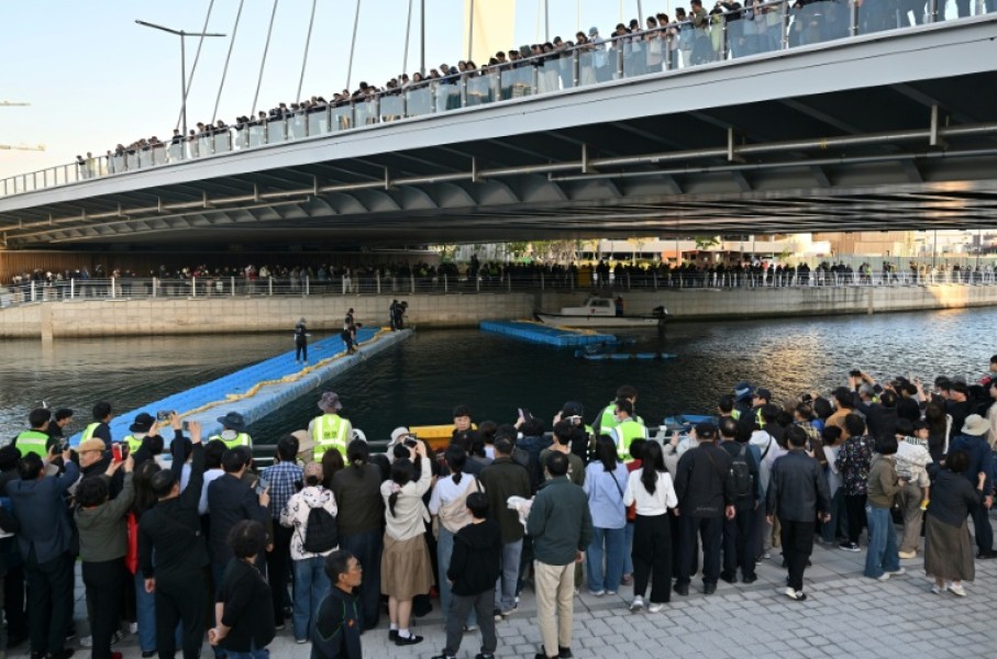 Visitors watch Wednesday's bid to guide a 3.5-metre shark back to the sea after it became trapped in an artificial waterway in the southeastern port city of Busan
