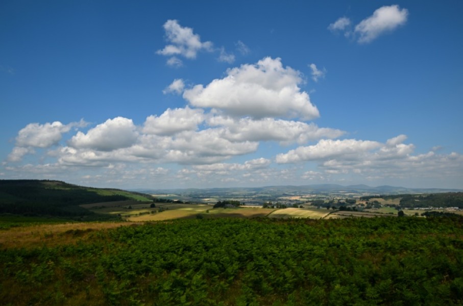 The UK's Wildlife Trusts raised £30 mn to buy the northern Rothbury estate