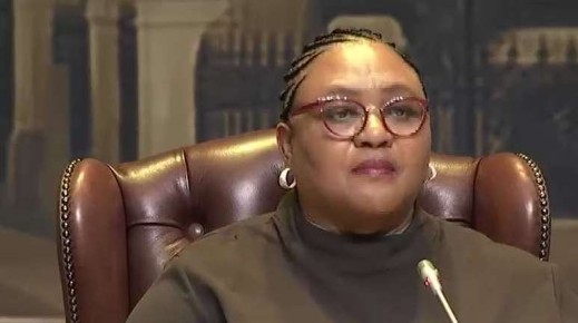 Thoko Didiza