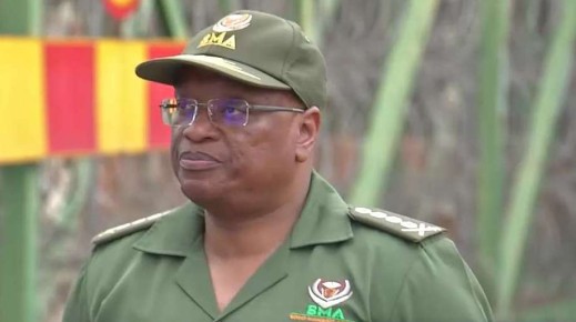 Commissioner of the Border Management Authority (BMA), Michael Masiapato