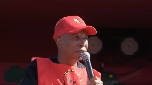 EFF leader Julius Malema.