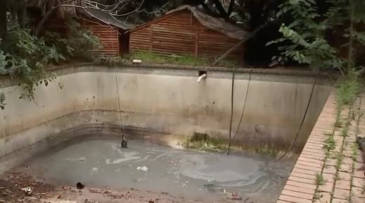 What's left of the swimming pool.