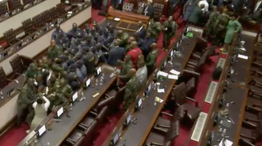 MPs scuffle with SAPS in legislature