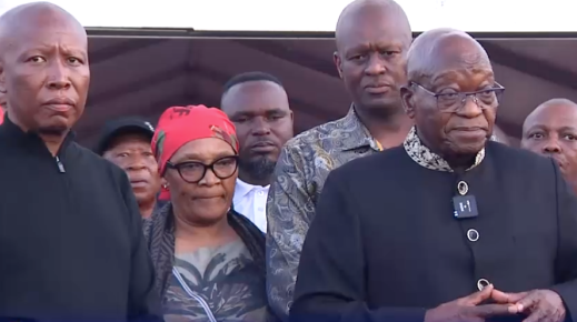 Julius Malema and Jacob Zuma