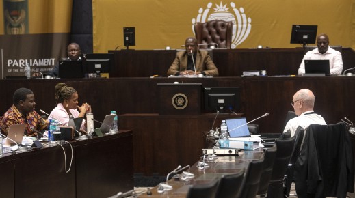 MPs seen at the SAPS Parliamentary Ad Hoc Committee inquiry. Gallo Images/Brenton Geach