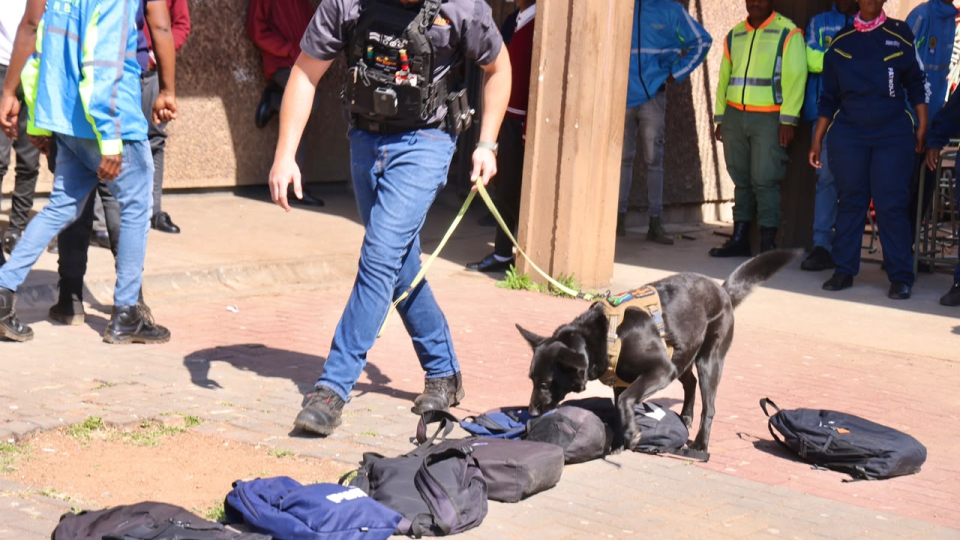 Police-led search and seizure at five schools led to the discovery of nyaope, dagga and abortion pills. Supplied by Gauteng Department of Education.
