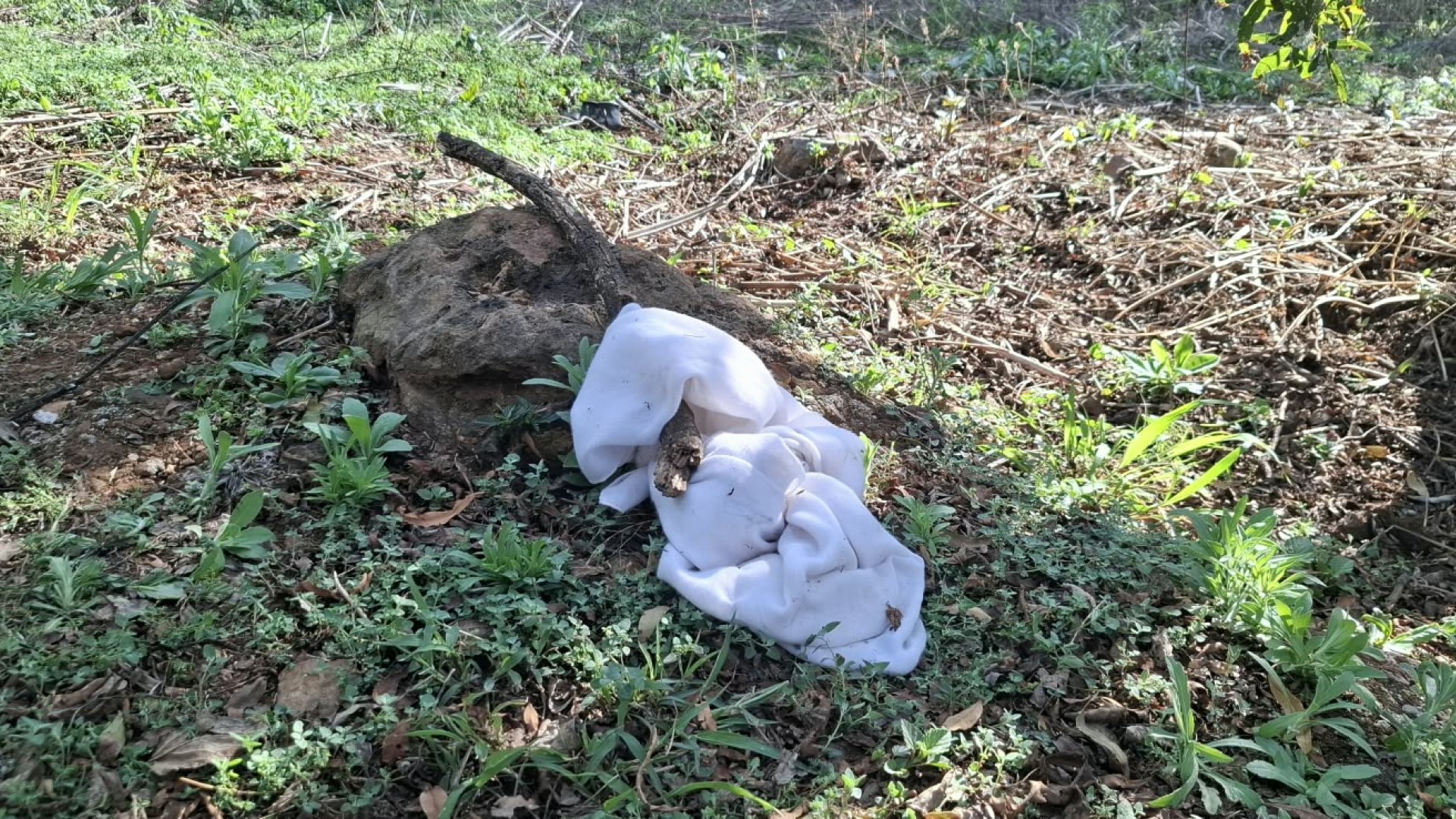 Police are combing an active crime scene in Atteridgeville, searching for a suspect accused of kidnapping a child reportedly raping the mother.