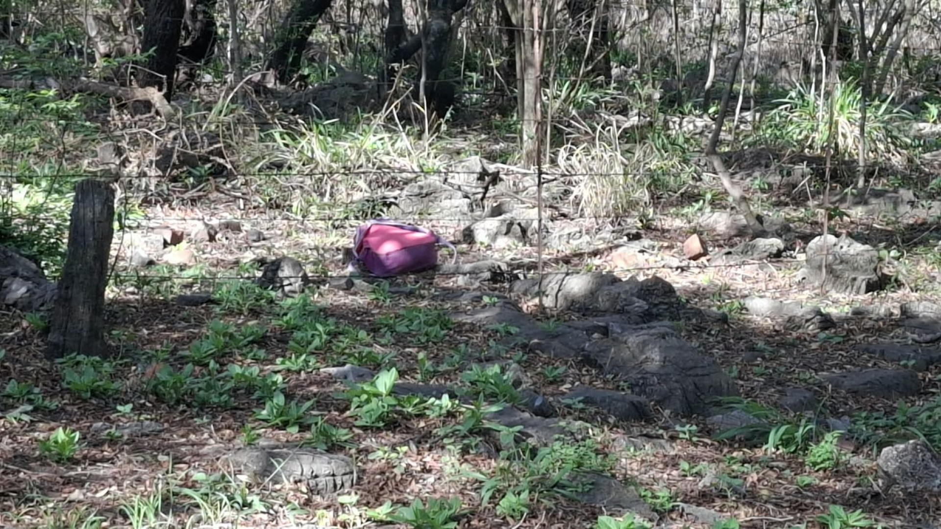 Police are combing an active crime scene in Atteridgeville, searching for a suspect accused of kidnapping a child reportedly raping the mother.