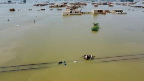 Pakistan: Floodwaters fill houses and streets in Jaffarabad