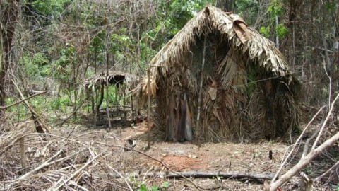 A straw hut in Brazil that was home to "The man of the hole", seen in a screen grab from 2011