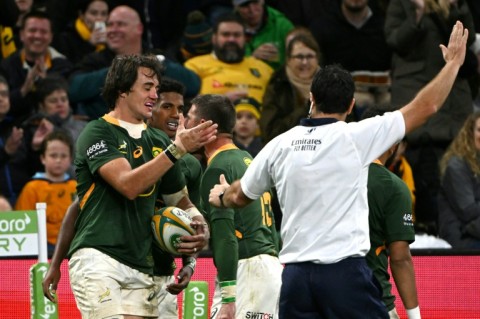 South Africa's Franco Mostert was among the try scorers as they beat Australia 24-8