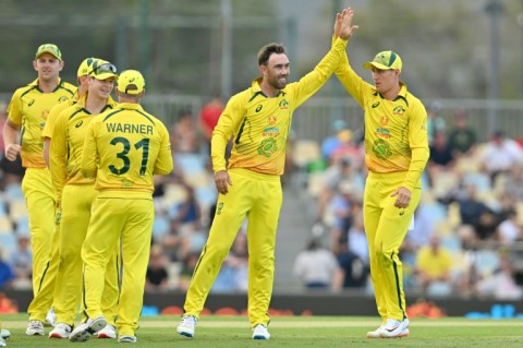 Australia's Glenn Maxwell (2nd R) celebrates his wicket of New Zealand's Kane Williamson