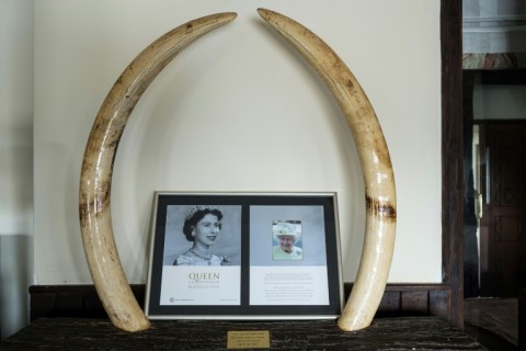 Memorabilia of Queen Elizabeth on display at the Treetops Lodge which has been shut because of the Covid pandemic 