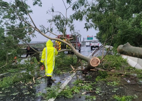 In this handout photo provided by the Puerto Rico fire department, firefighters work to remove a fallen tree from a road in Vega Baja, Puerto, Rico
