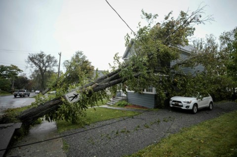 A tree sits against power lines and a home after Storm Fiona struck in Sydney, Nova Scotia, Canada on September 24, 2022 