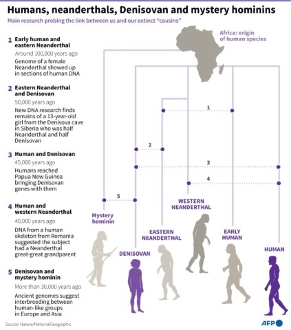 Humans, neanderthals, Denisovan and mystery hominins