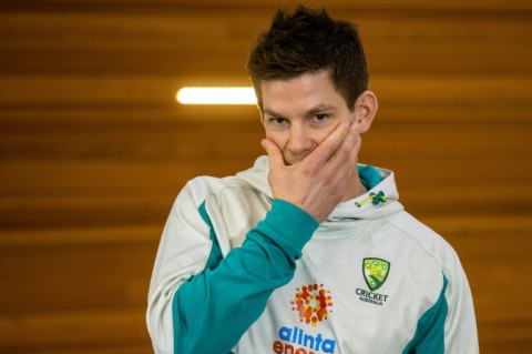 Former Australia captain Tim Paine is set to make a return to cricket