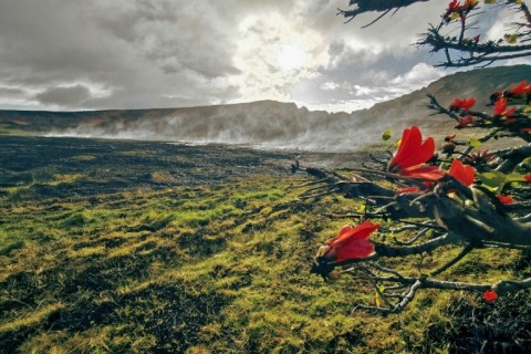 A handout picture from the Rapa Nui municipality shows a fire at the Rapa Nui National Park on Easter Island, Chile
