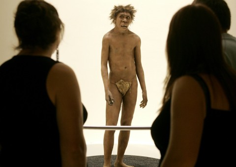 Dad? New genetic research has offered a glimpse into the family life of Neanderthals
