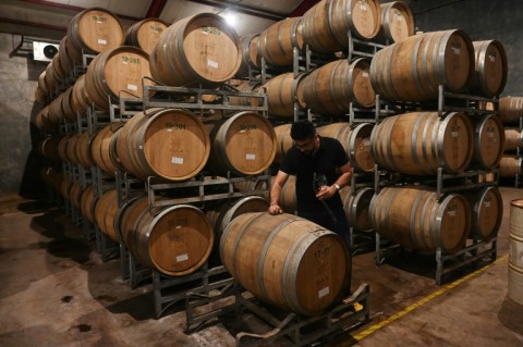 Wine consumption in India has risen from negligible levels in 1995 but volumes still stood at just 20 million litres in 2021, according to the International Organisation of Vine and Wine

